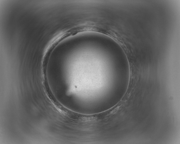 X0000066940245200603241149