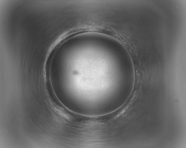 X0000066940246200603241149