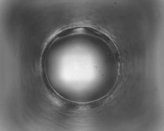 X0000066940248200603241149