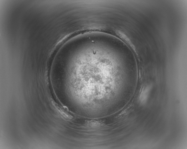 X0000066940249200603241149