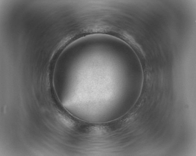 X0000066940250200603241149