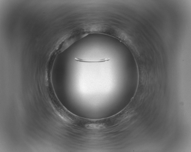 X0000066940251200603241149