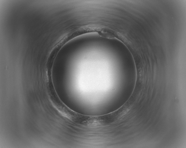 X0000066940254200603241149