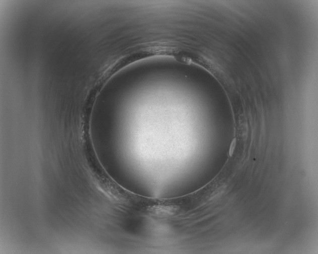 X0000066940255200603241149