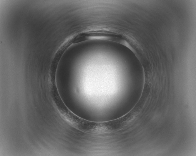 X0000066940256200603241149