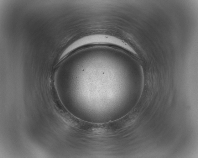 X0000066940259200603241149