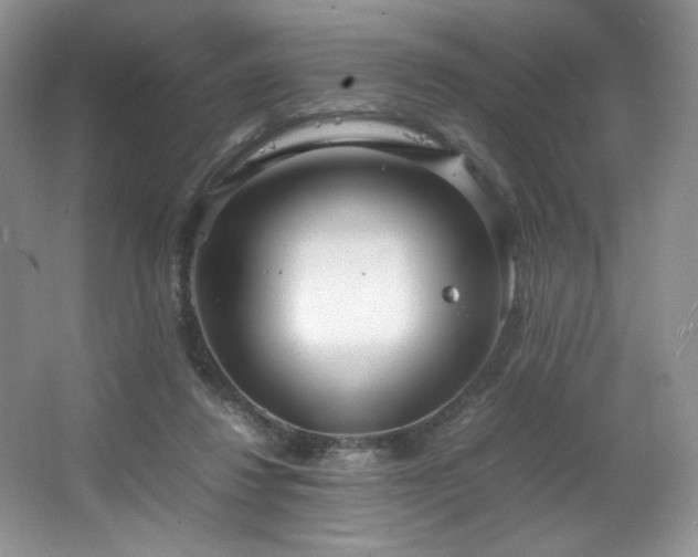 X0000066940260200603241150