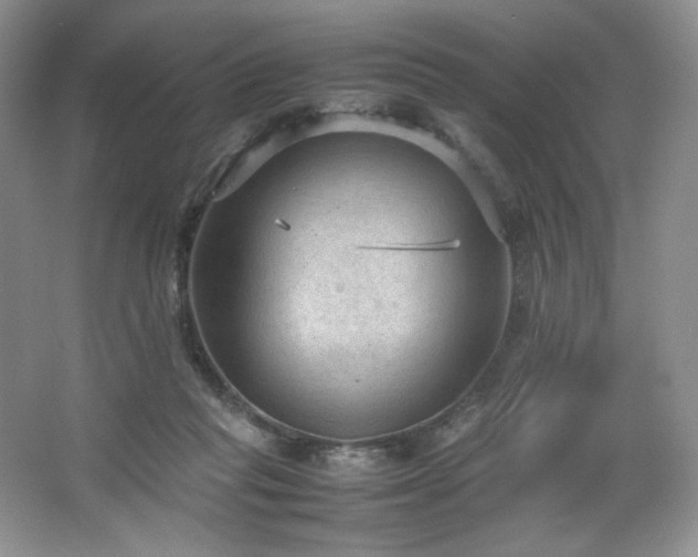 X0000066940261200603241150