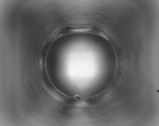 X0000066940262200603241150