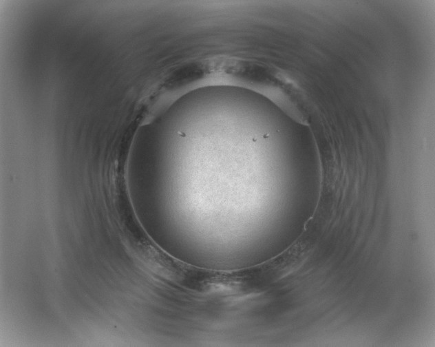 X0000066940263200603241150