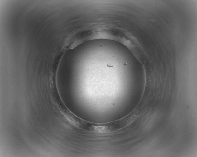 X0000066940265200603241150