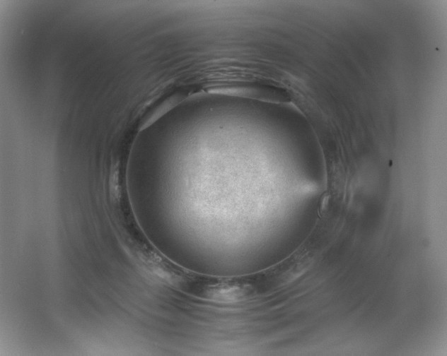 X0000066940267200603241150