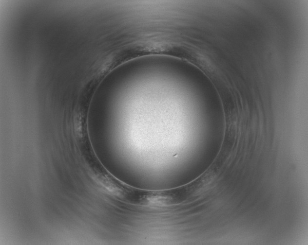 X0000066940268200603241150