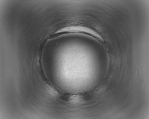 X0000066940269200603241150