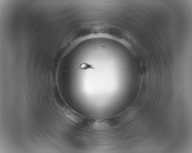 X0000066940270200603241150