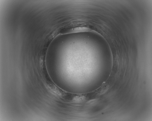 X0000066940271200603241150