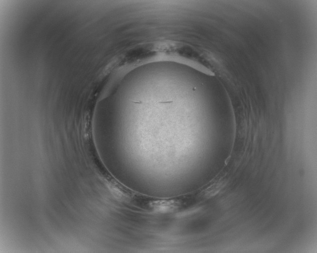 X0000066940273200603241150