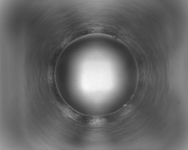 X0000066940274200603241150