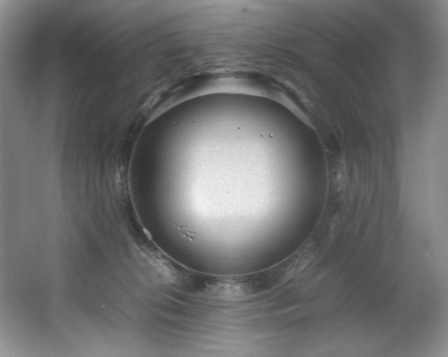 X0000066940276200603241150