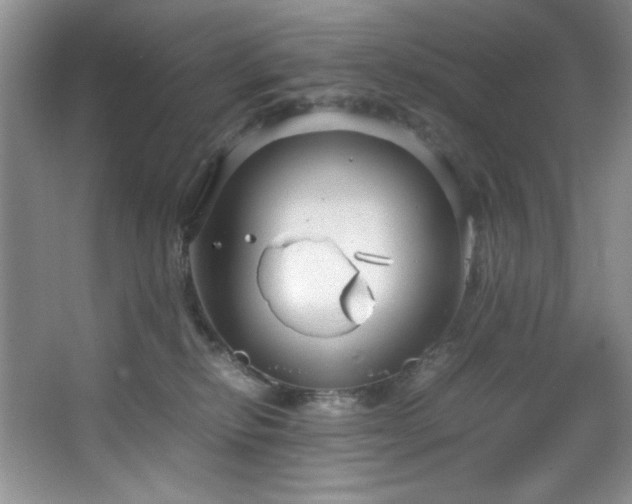 X0000066940278200603241150