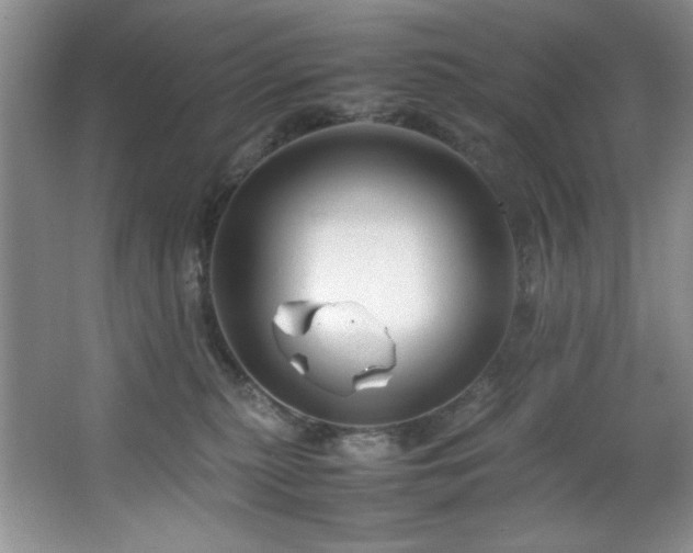 X0000066940279200603241150