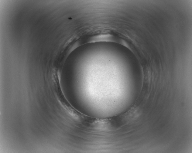 X0000066940280200603241150