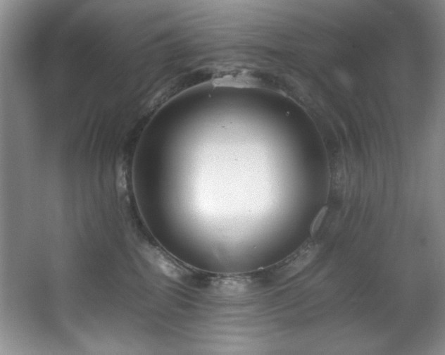 X0000066940282200603241150