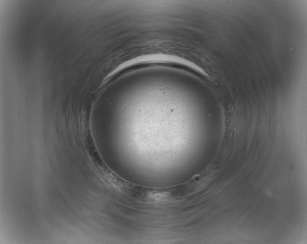 X0000066940283200603241150