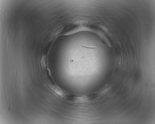 X0000066940286200603241150