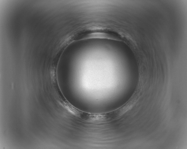 X0000066940288200603241150