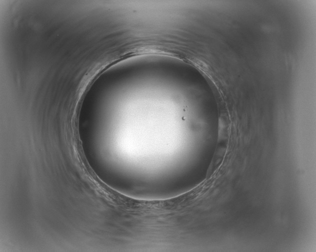 X0000066940289200603241149