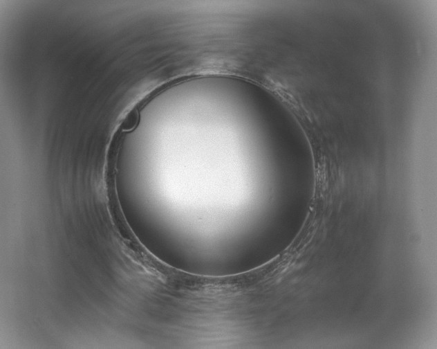 X0000066940292200603241149