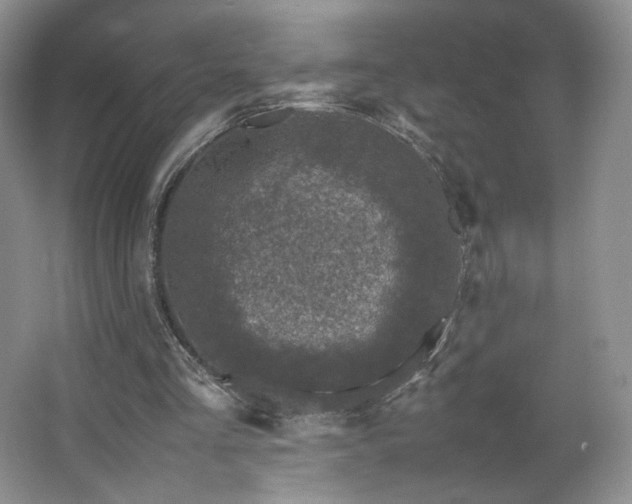 X0000066940293200603241149