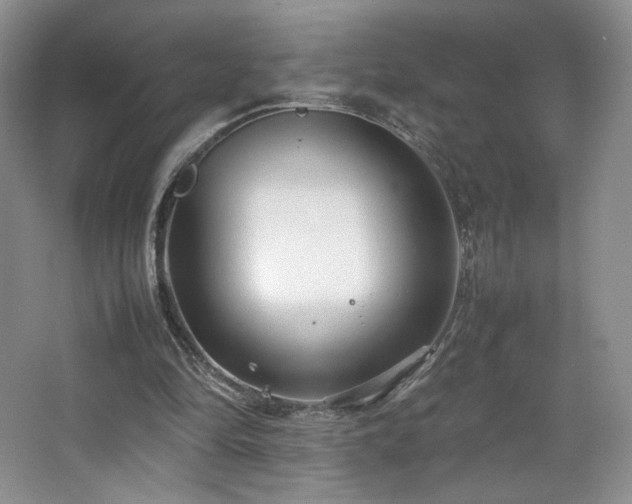 X0000066940294200603241149