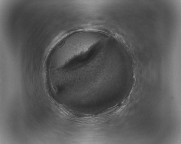 X0000066940295200603241149