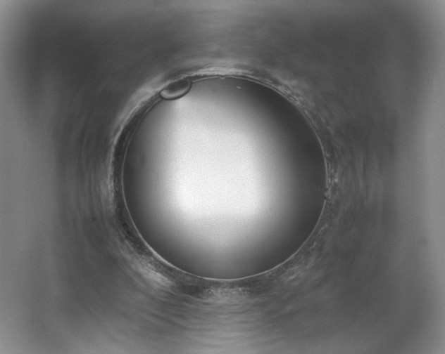 X0000066940296200603241149