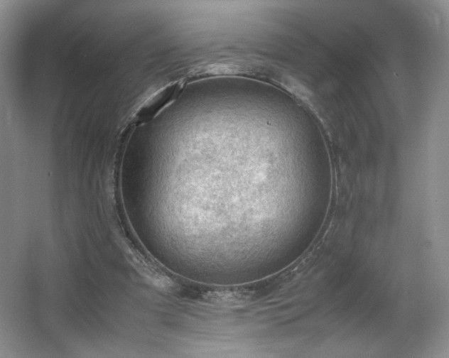 X0000066940297200603241149