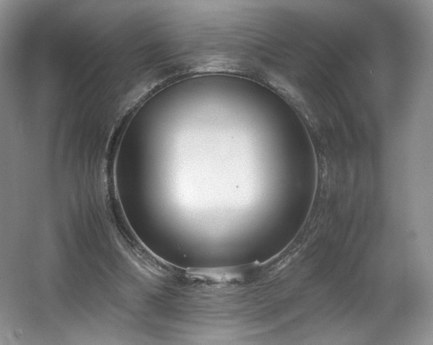 X0000066940298200603241149