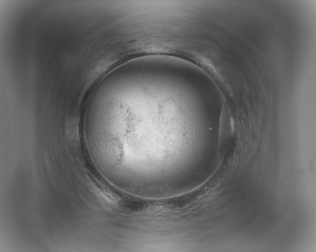 X0000066940299200603241149