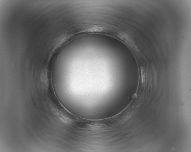 X0000066940300200603241149