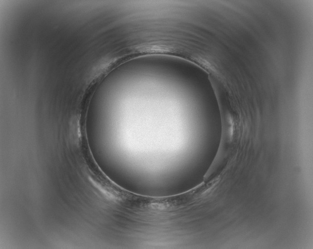 X0000066940302200603241149