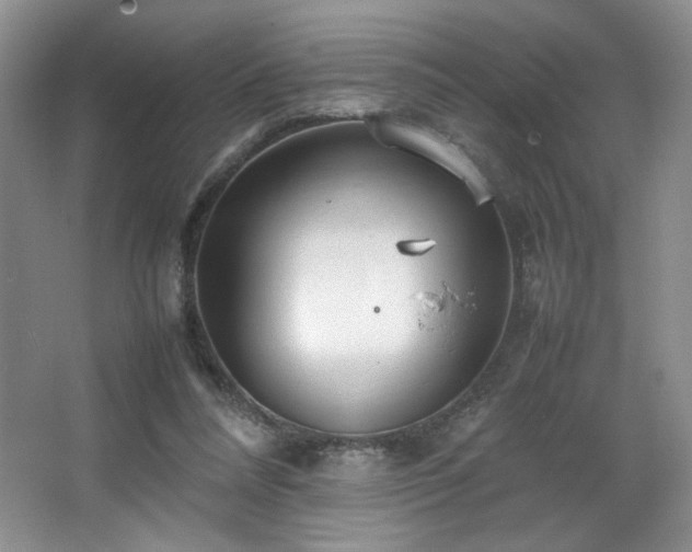 X0000066940304200603241149