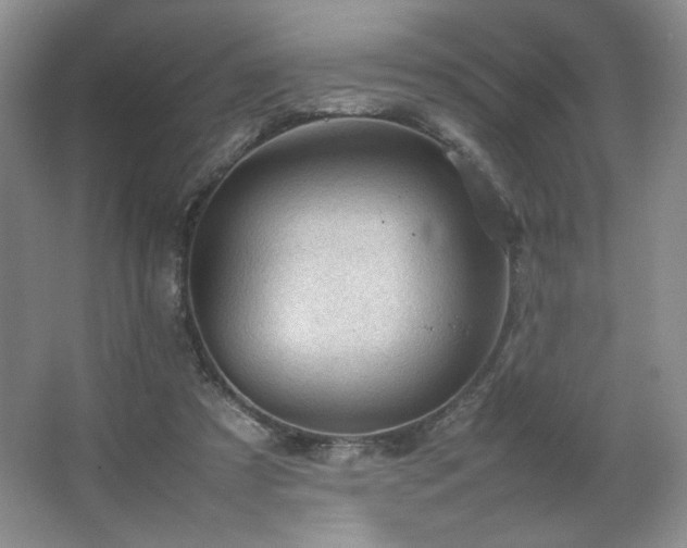 X0000066940305200603241149