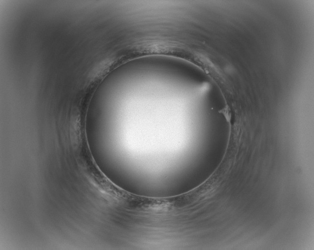 X0000066940306200603241149