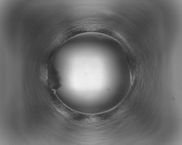 X0000066940307200603241149