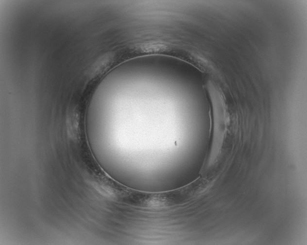 X0000066940308200603241149