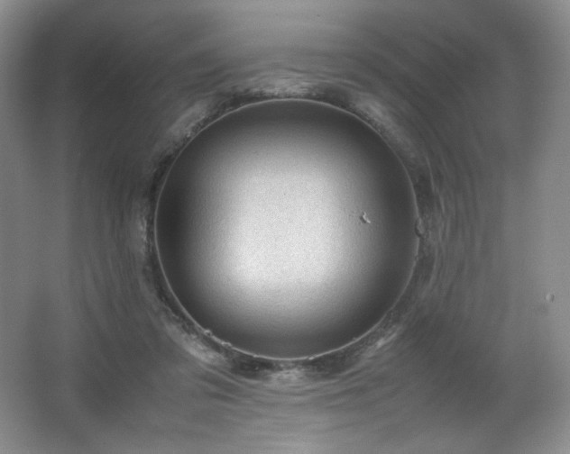 X0000066940309200603241149