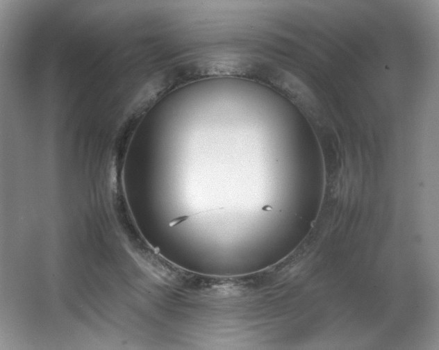 X0000066940310200603241149