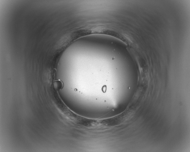 X0000066940311200603241149