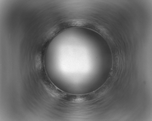 X0000066940312200603241149